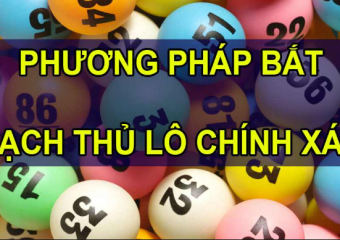 Phương pháp bắt bạch thủ lô dễ dàng